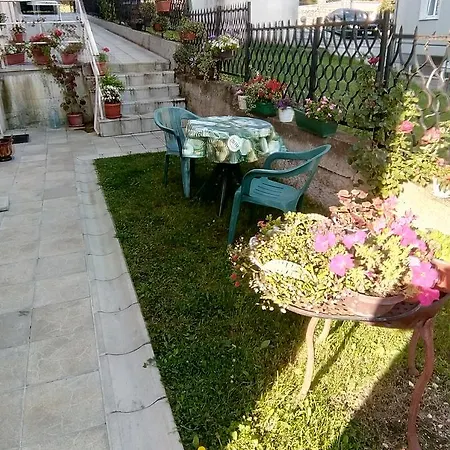 Vojinovic * ארנדלובאץ'