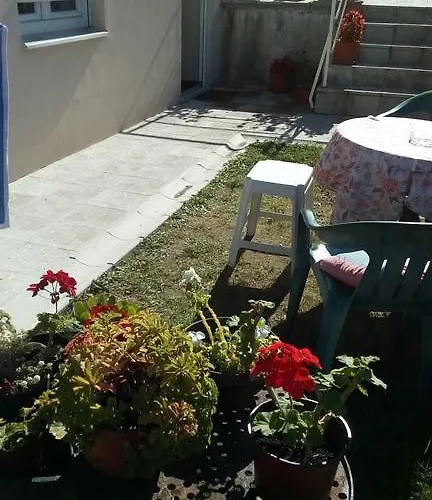 Apartman Vojinovic *