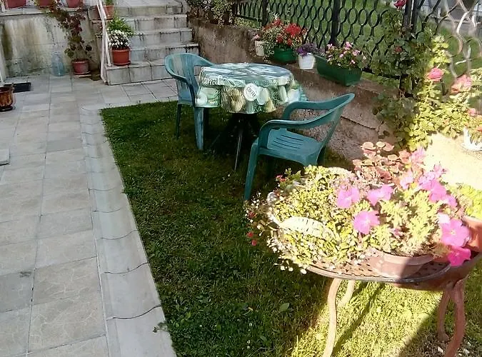 Vojinovic * Arandjelovac